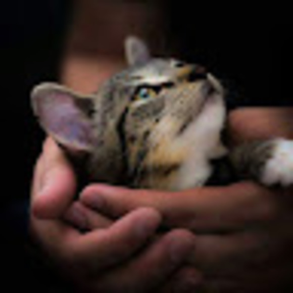 Meet your Posher, Luanne - Picture 1 of 1